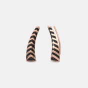 The Chevroned Ear Climbers - thumb 1