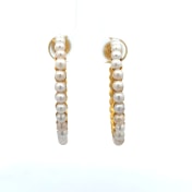 The Makena Hoop Earrings - thumb 3