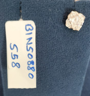 The Letitia Solitaire Stud Earrings - thumb 5
