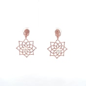 The Bisil Drop Earrings - thumb 3