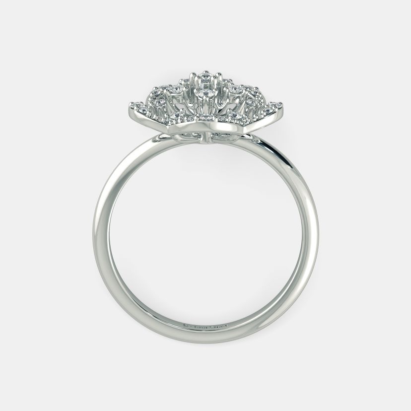 The Kartiki Ring - image 7